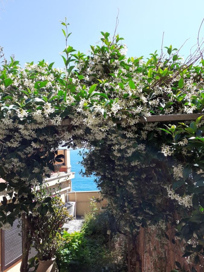 Raggio Di Luna Manarola Eksteriør billede